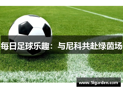 每日足球乐趣：与尼科共赴绿茵场